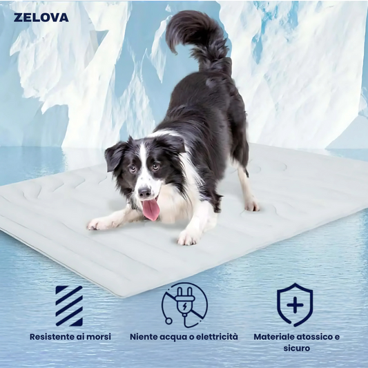 ZampaCool -  Comfort fresco, anche d’estate.